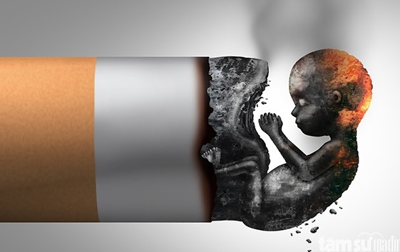 hút thuốc lá có hại cho thai nhi