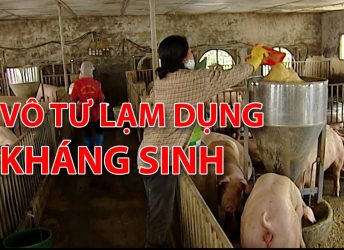 Thức ăn ngậm kháng sinh len lỏi vào bữa ăn của người Việt