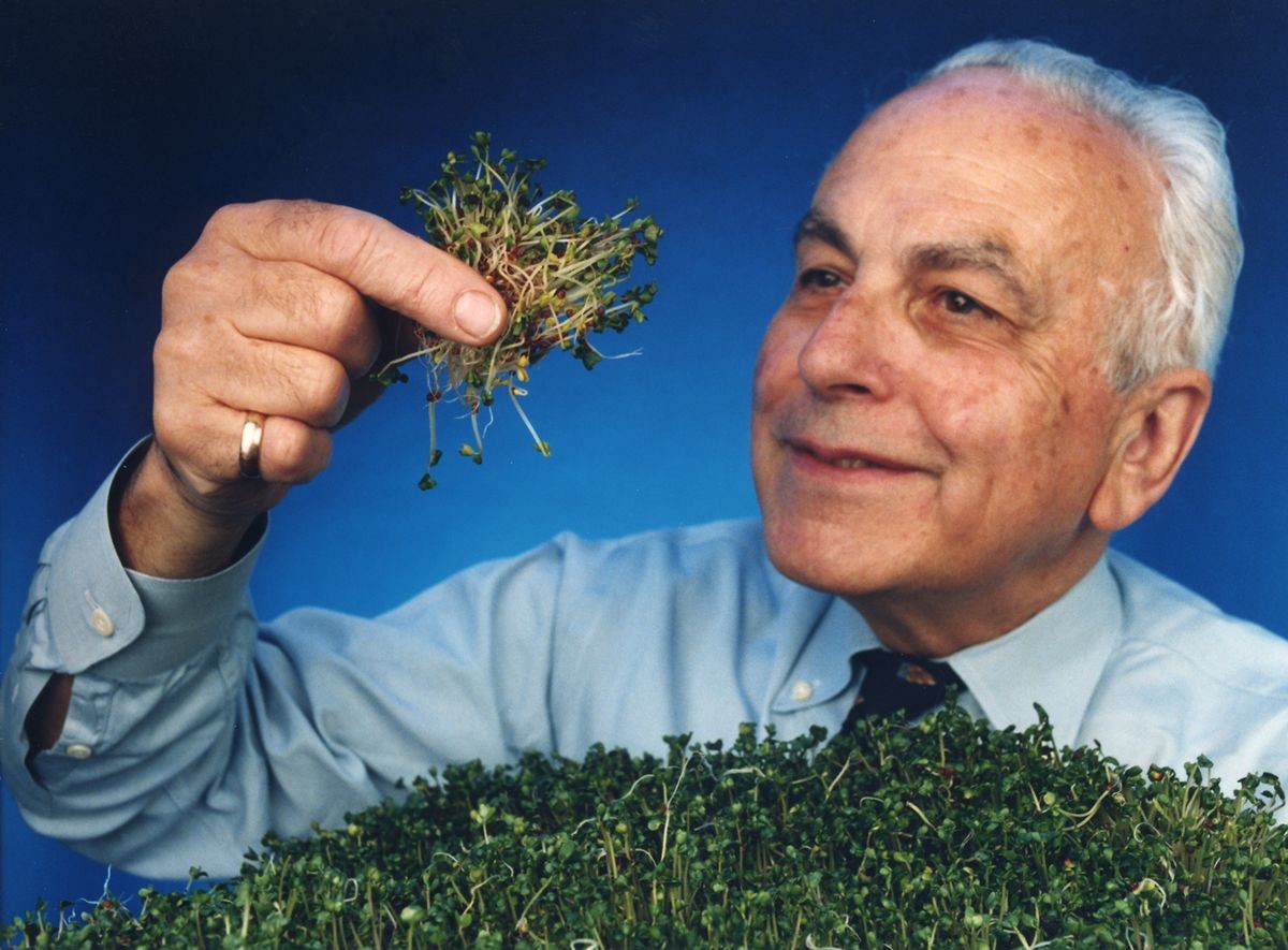 Giáo sư Paul Talalay nghiên cứu hoạt chất BroccoRaphanin trong bông cải xanh