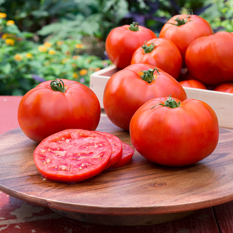cà chua thải độc cơ thể